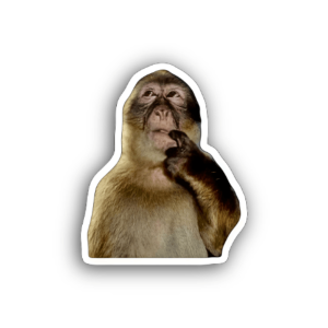 Thinking Monkey Sticker
